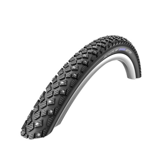 schwalbe-winter-35-622-2