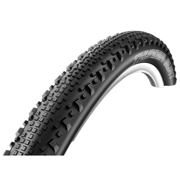 SCHWALBE-THUNDER-BURT-3