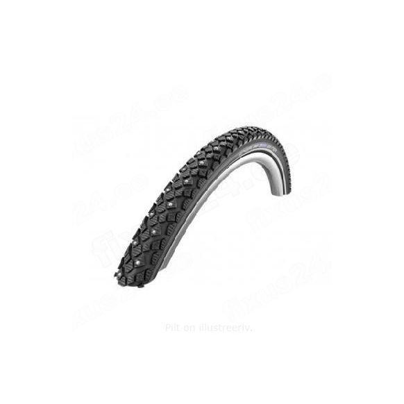 schwalbe-winter-47-559