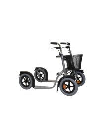 ESLA CITYMAX 3800, Hõbedane