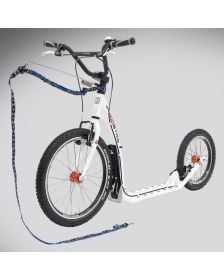 KOSTKA HILL Dog 3, valge