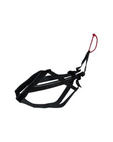 NEEWA - DOG RACING HARNESS - SIZE M